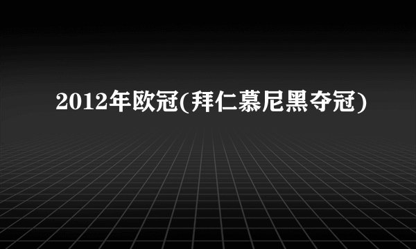 2012年欧冠(拜仁慕尼黑夺冠)