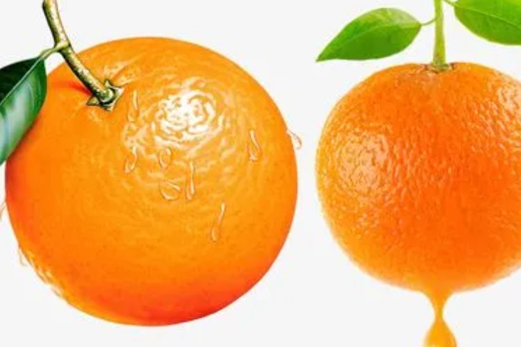 柳丁是什么意思