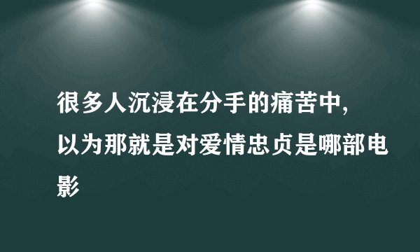 很多人沉浸在分手的痛苦中,以为那就是对爱情忠贞是哪部电影
