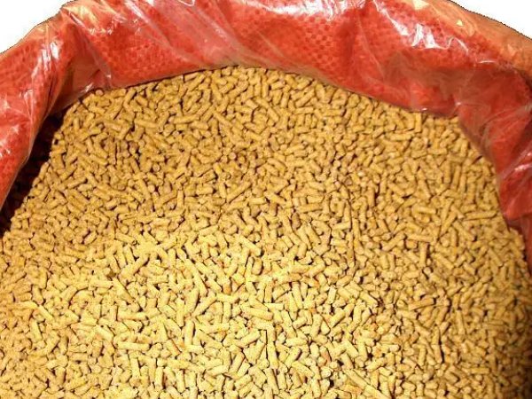 饲料排行榜前十强