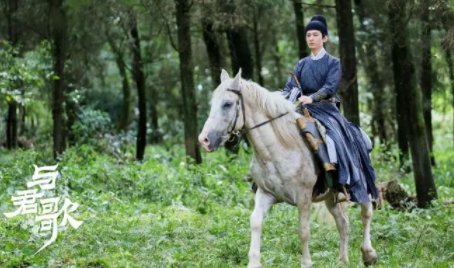 《与君歌》共多少集？