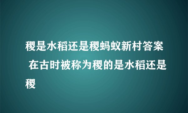 稷是水稻还是稷蚂蚁新村答案 在古时被称为稷的是水稻还是稷