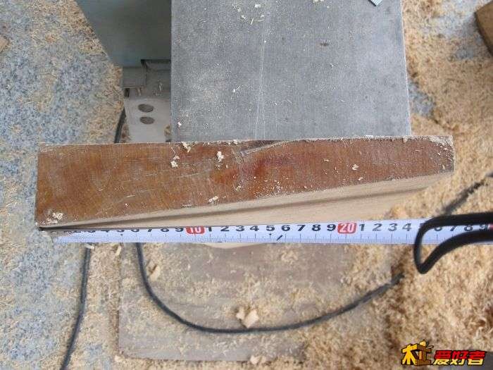 虎皮枫木的介绍