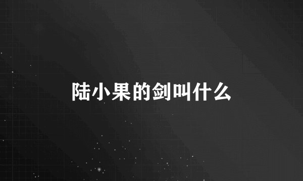 陆小果的剑叫什么