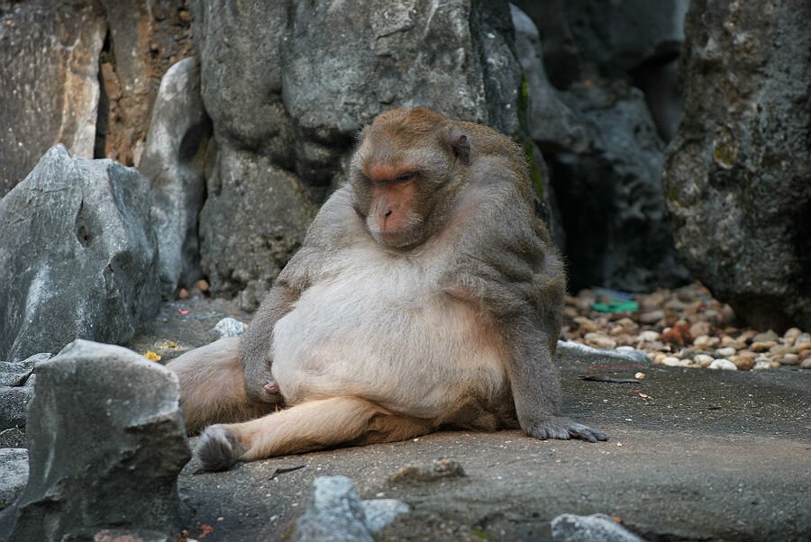 发飙的蜗牛的网友评价