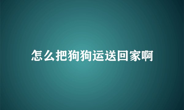 怎么把狗狗运送回家啊