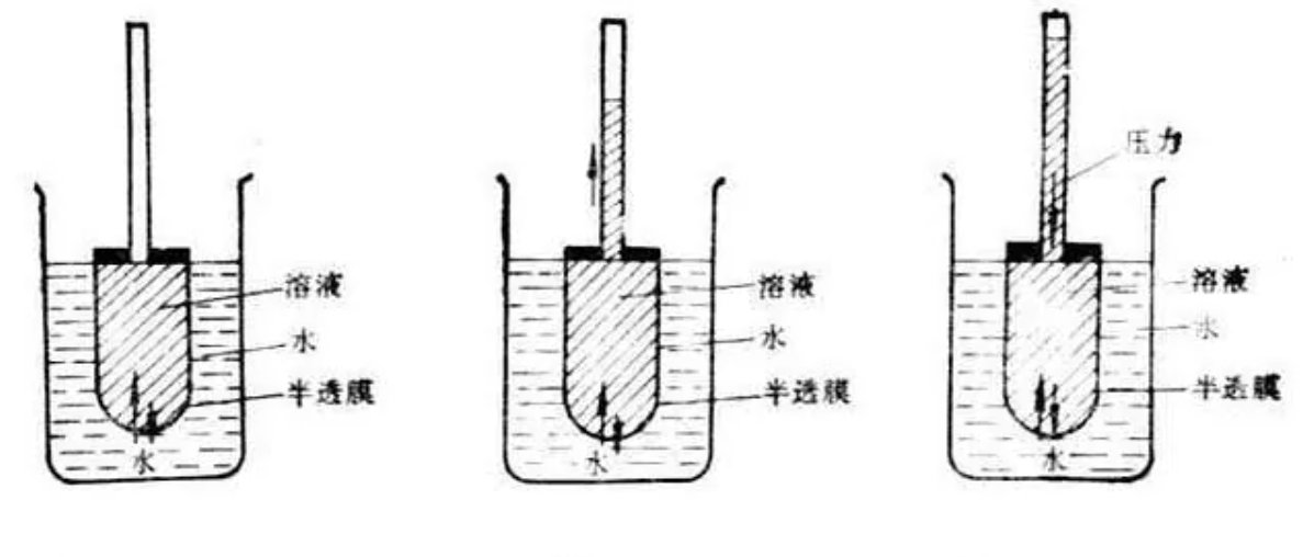渗透压单位是什么？