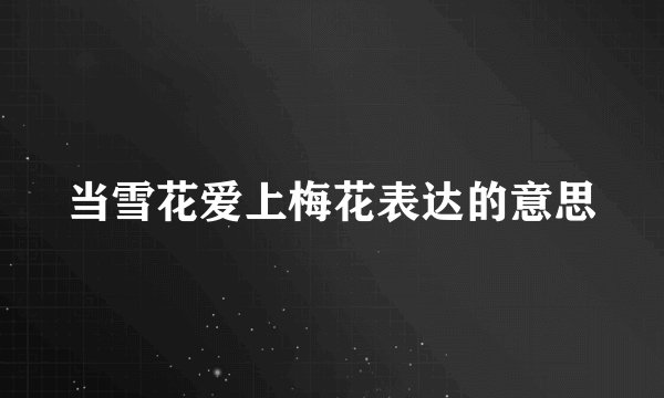 当雪花爱上梅花表达的意思