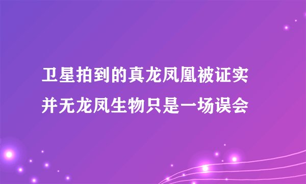 卫星拍到的真龙凤凰被证实 并无龙凤生物只是一场误会