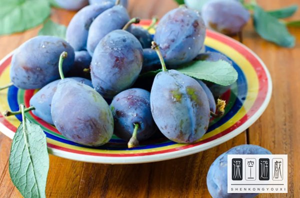 以下哪种西梅更新鲜