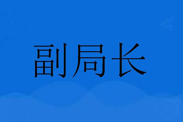 副局长是什么级别的干部
