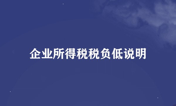 企业所得税税负低说明