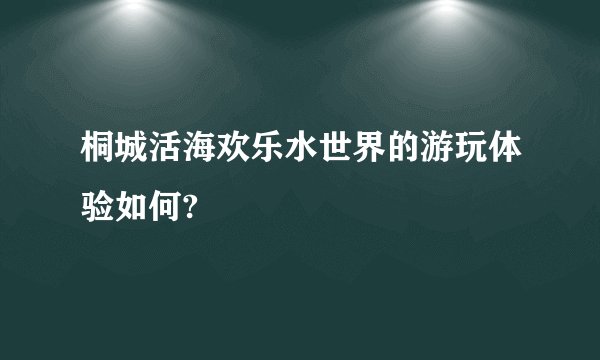 桐城活海欢乐水世界的游玩体验如何?