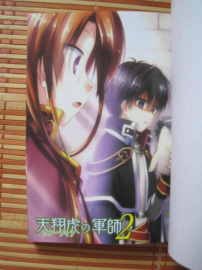 天翔虎军师的作品简介