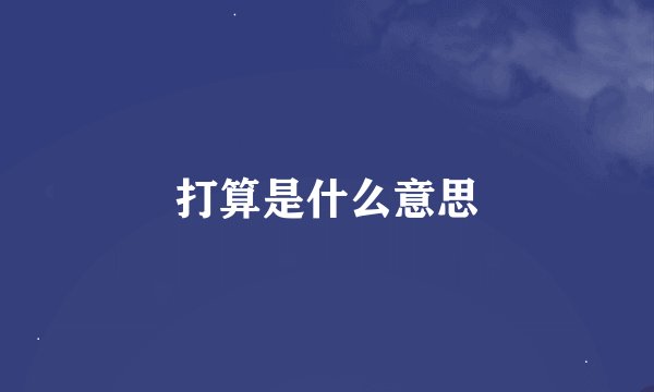 打算是什么意思