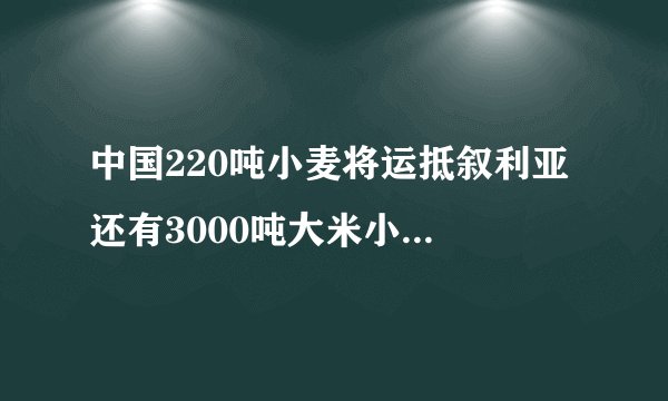 中国220吨小麦将运抵叙利亚 还有3000吨大米小麦也将发运