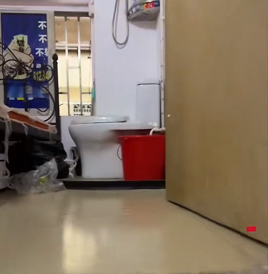 男子晒空中阁楼:每天搭梯回家,马桶就在床头,这样的环境你能适应吗?