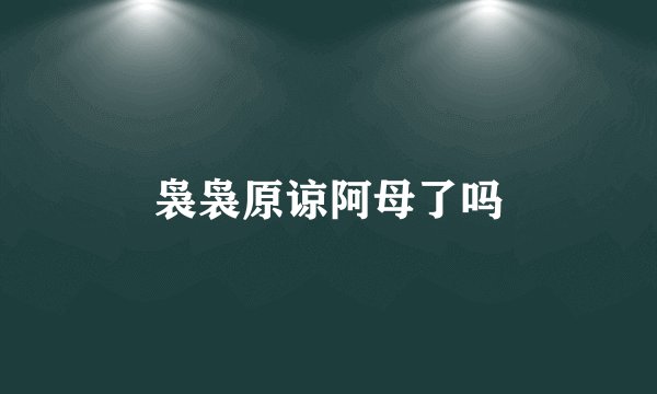 袅袅原谅阿母了吗