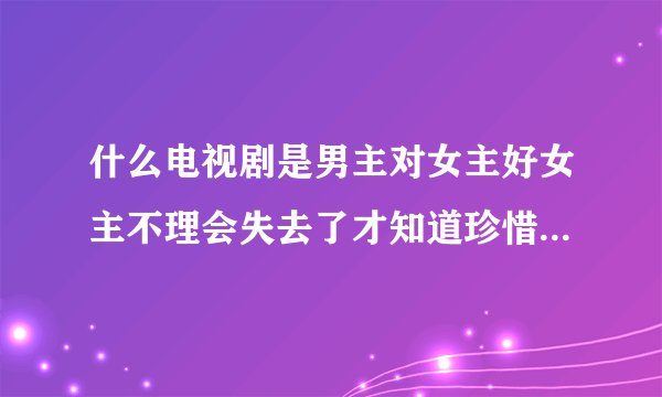 什么电视剧是男主对女主好女主不理会失去了才知道珍惜追回来的