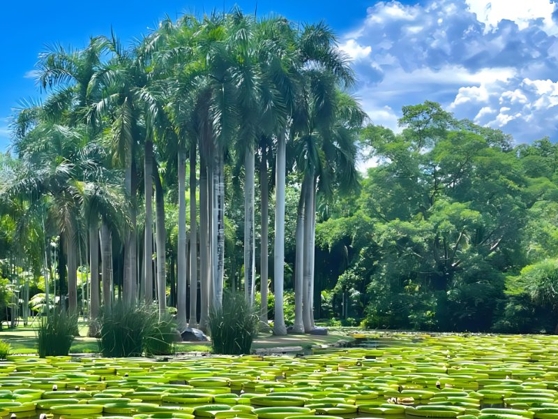 发朋友圈被误认为出国的旅游地