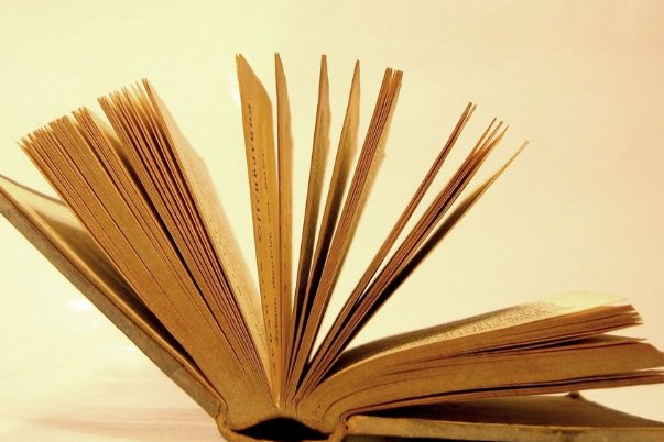 连袂与联袂的区别