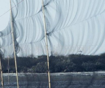 用野鸡网怎么网野鸡