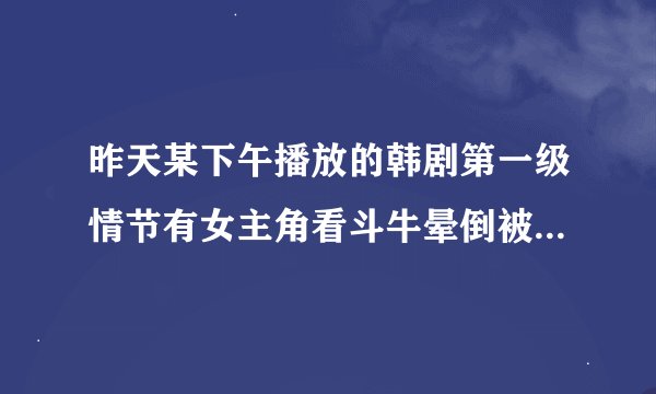 昨天某下午播放的韩剧第一级情节有女主角看斗牛晕倒被男主角背走，女的是化妆师，男的是演员，是什么名