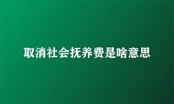 取消社会抚养费是啥意思