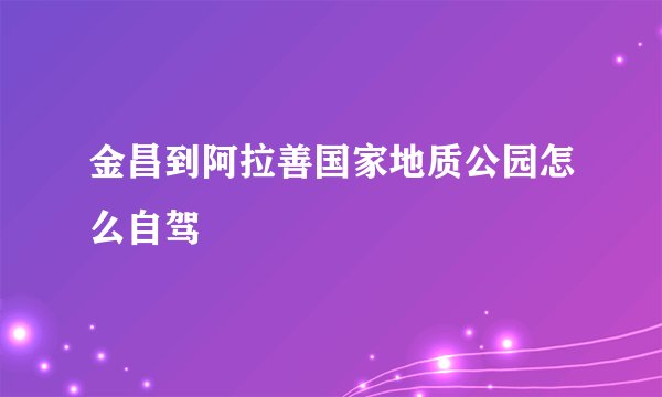 金昌到阿拉善国家地质公园怎么自驾
