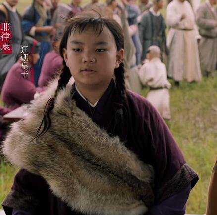 大宋宫词耶律康是杨康吗 他最后的结局是怎样的