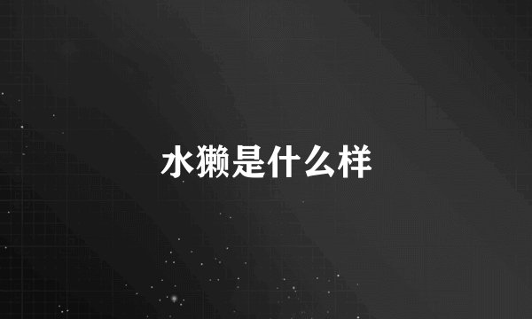水獭是什么样
