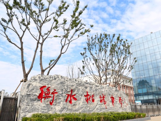 官方通报桃城中学相关问题调查结果，该校存在哪些违法行为？