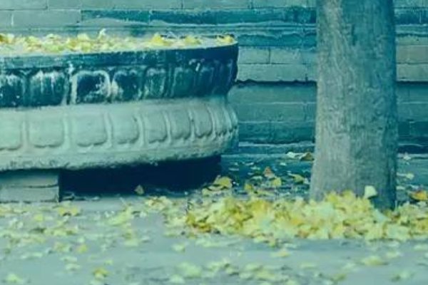 人到情多情转薄 而今真个不多情什么意思