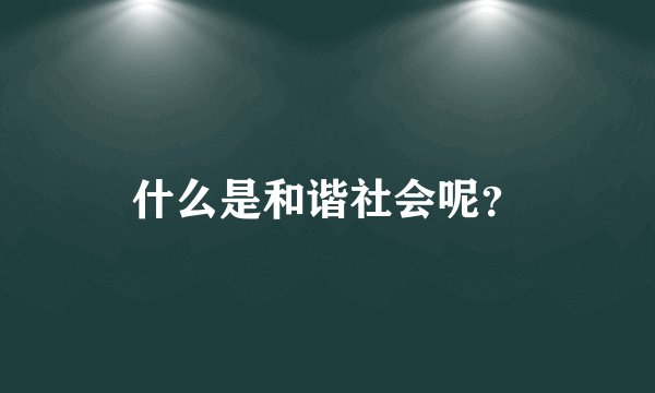 什么是和谐社会呢？