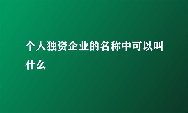 个人独资企业的名称中可以叫什么