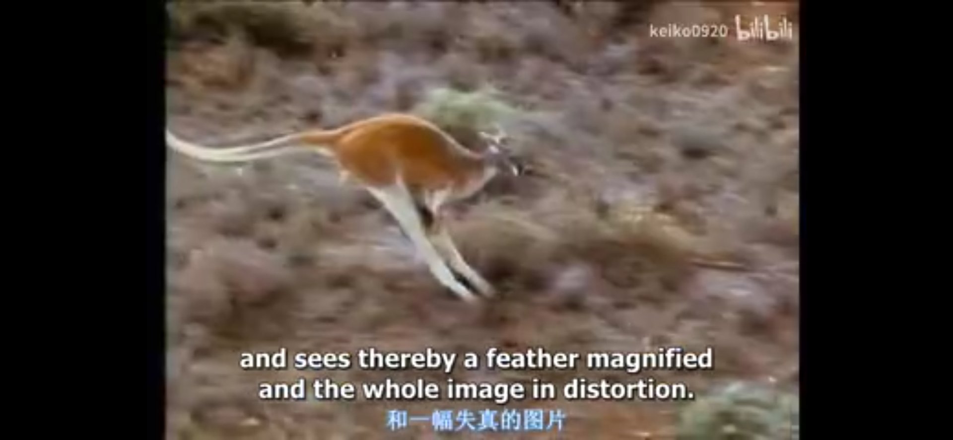 哪里能看地球公民？