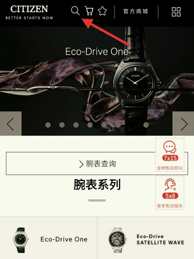 请问西铁城手表的官方网站的认证手表在哪看？