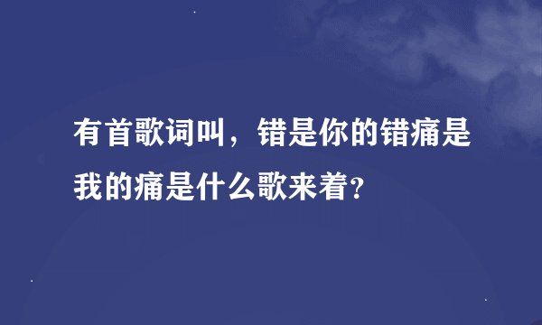 有首歌词叫，错是你的错痛是我的痛是什么歌来着？