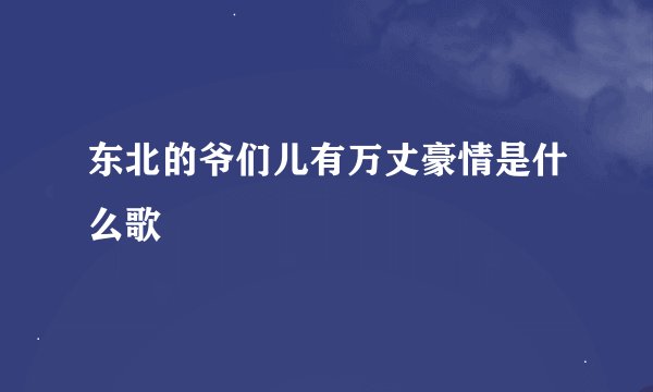东北的爷们儿有万丈豪情是什么歌