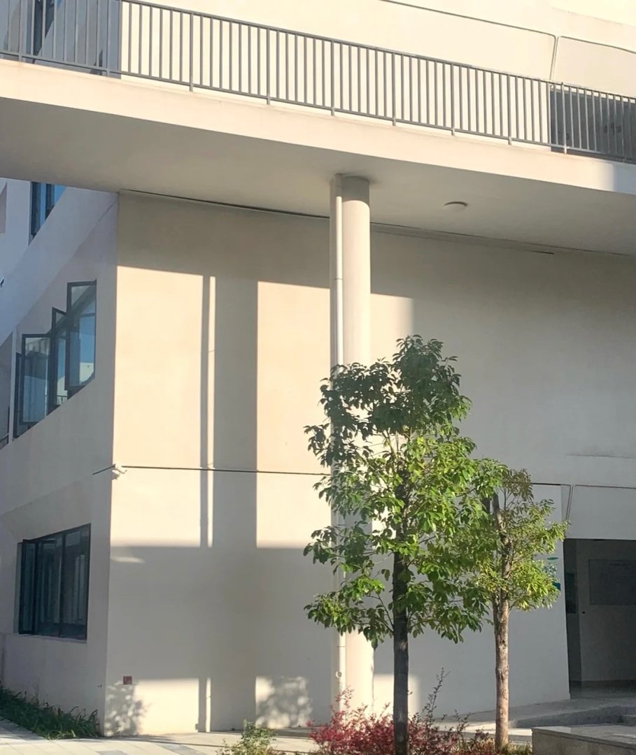 晋城中考分数线2023年公布