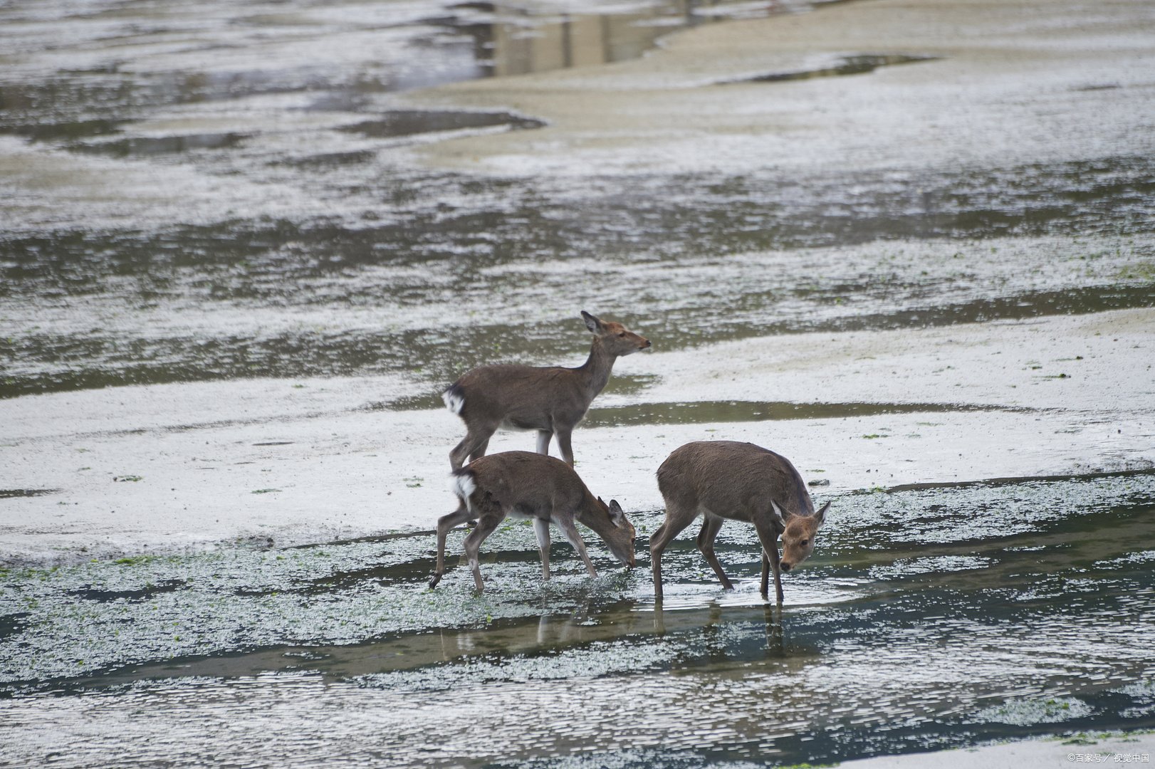 中动协属于哪个部门监管