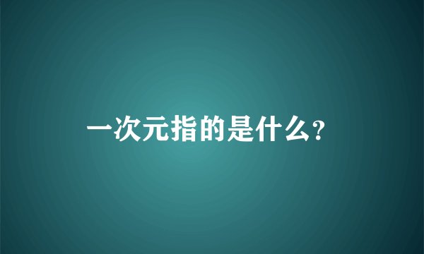 一次元指的是什么？