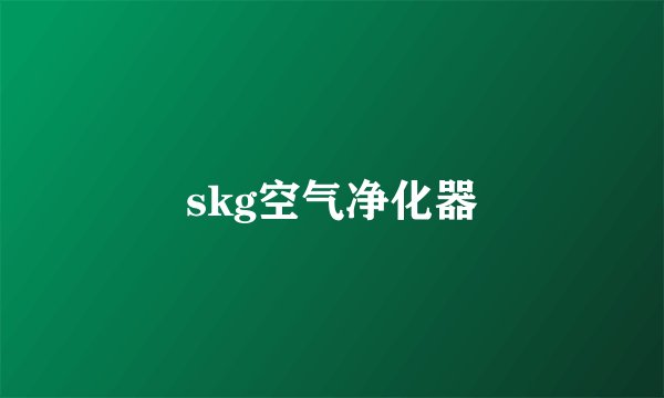 skg空气净化器