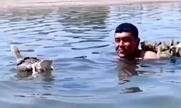 在河中游泳有哪些注意事项???