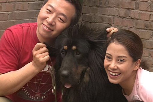 与藏獒大战狼群有关的电影