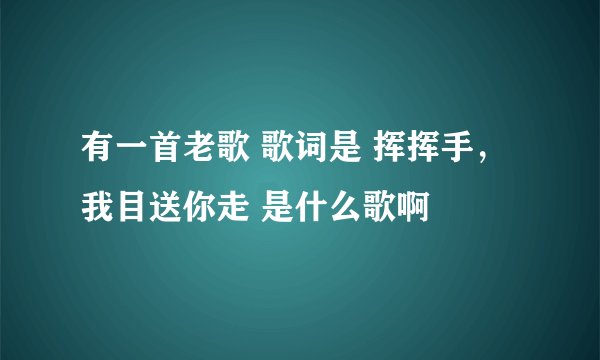 有一首老歌 歌词是 挥挥手，我目送你走 是什么歌啊