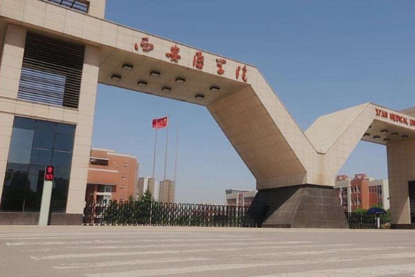 陕西省二本院校排名及分数线