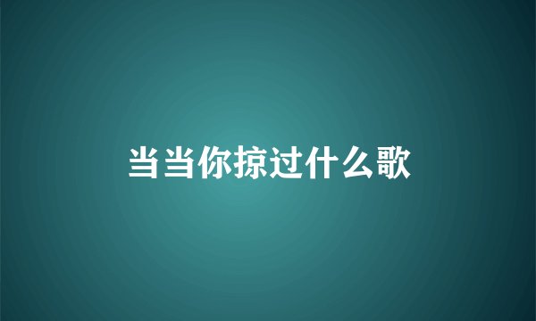 当当你掠过什么歌