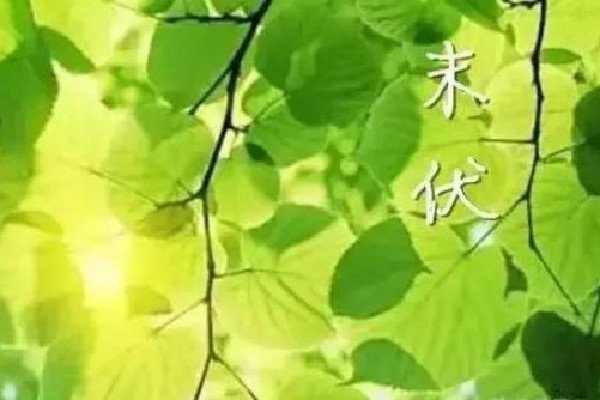 末伏过后天气还会热吗？末伏是不是一年中天气最热的时候？