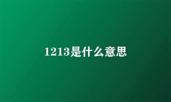 1213是什么意思